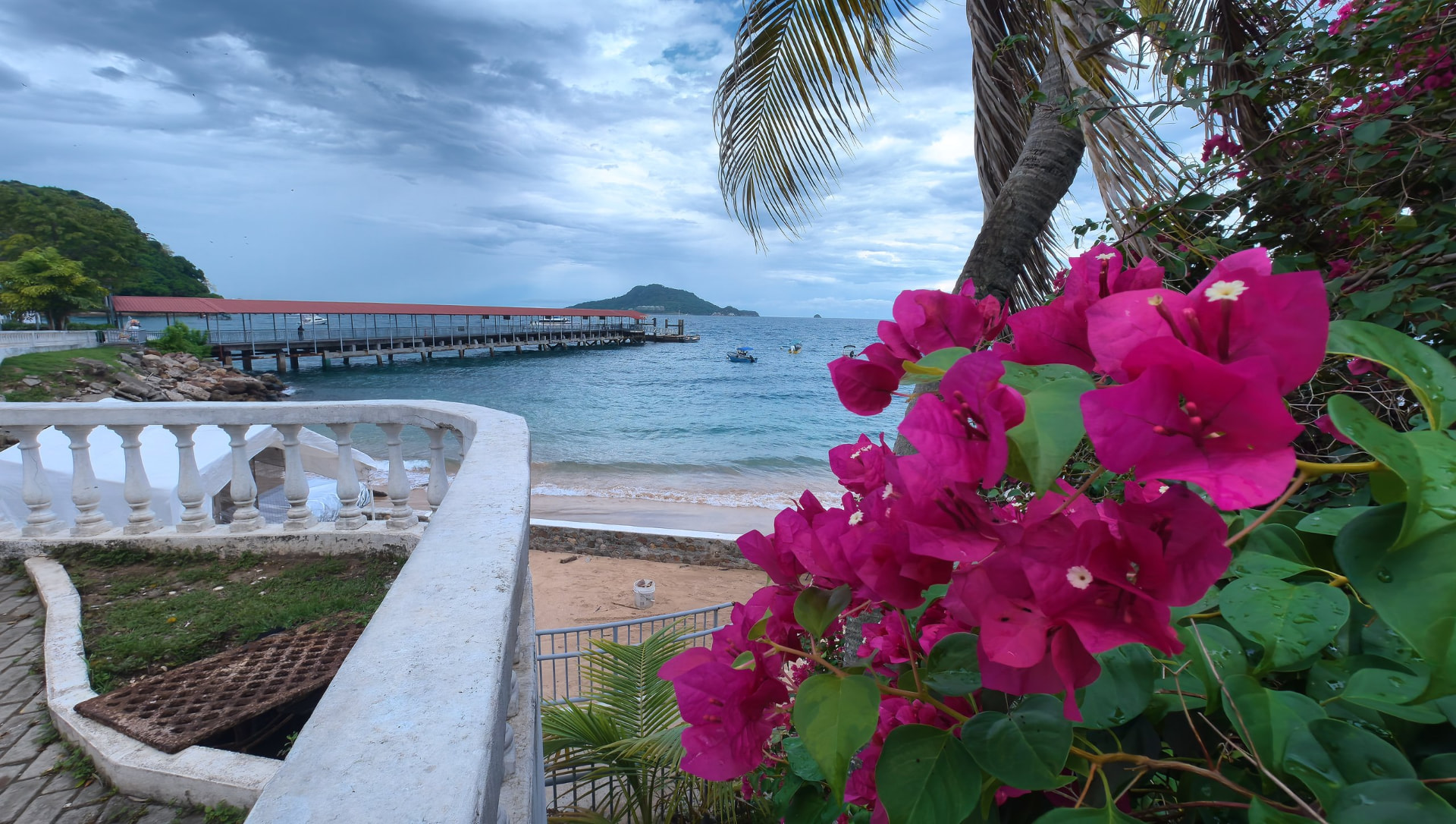 Racimo de buganvilias fucsias en primer plano, con la balaustrada del paseo, la playa y el muelle de techo rojo detrás