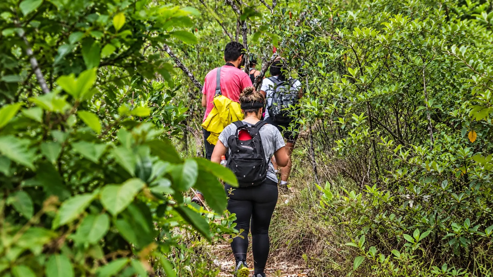 Senderistas caminando en fila por un sendero estrecho entre la vegetación de Isla Taboga